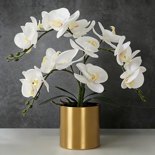 LESING Potted Artificial Orchid Flowers,Real Touch White Fake Artificial Orchid Flower in Gold Vase Arrangement for Table Living Room Decoration (White,Gold Vase) - color: White,gold Vase