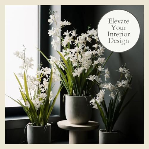 CG Hunter Faux Vanda Orchid Plant, Premium Artificial Indoor Flower Display Stands 26”, Beautiful Sculptural Blooms that Lasts Forever, White Planter Pot Included - size: 26" Vanda Orchid
