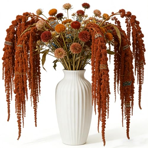 5Pcs Dried Amaranthus Hanging Flowers, 53" Neon Green Preserved Natural Wisteria for Wedding Arch, Table Centerpiece, Wall Hanging Lover Tears, Floral Arrangement (Red) - color: Red