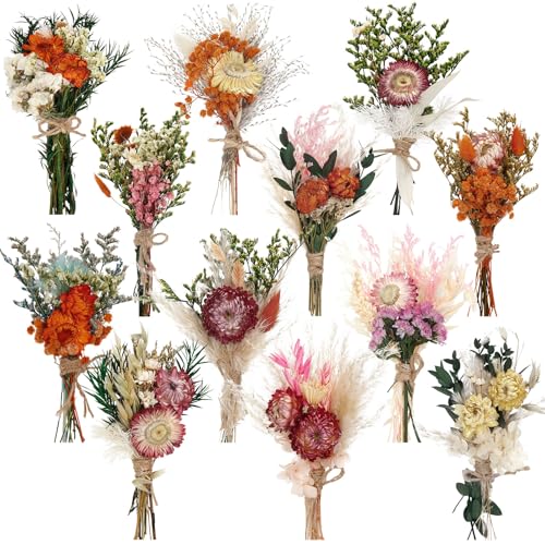 Layhit 12 Pcs Boho Dried Flower Bouquet Mini Wedding Handmade Dry Flowers Decor for Vase Crafts DIY Photo Boutonniere for Men Floral Plant for Bridesmaid Gift Birthday Decor(African Daisy) - style: Gerbera Daisy