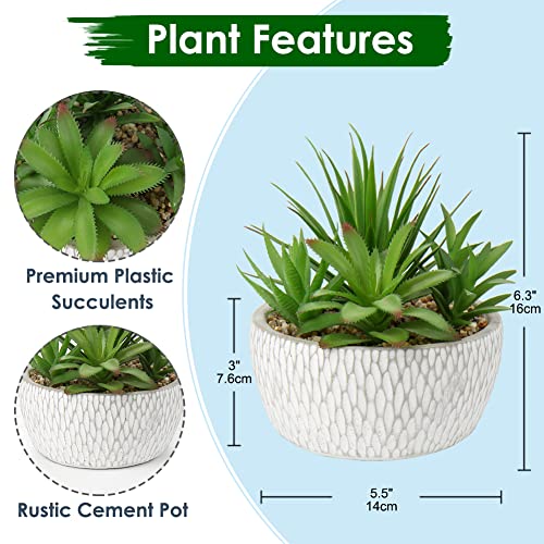 Briful Small Fake Plants Assorted Faux Succulents in Pots Realistic Succulents Plants Artificial with Cement Pots for Home Table Office Desk Bathroom Shelf Living Room Decor - color: Succulent #01