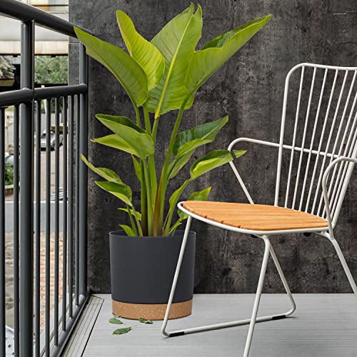 kubvici Plant Pots for Indoor Plants, 2 Pack 12 Inch Pots for Plants, Lightweight Large Planters for Indoor Outdoor, Big Plastic Black Pot Flower Pot with Drainage (12” Black) - color: Black, size: 12 Inch