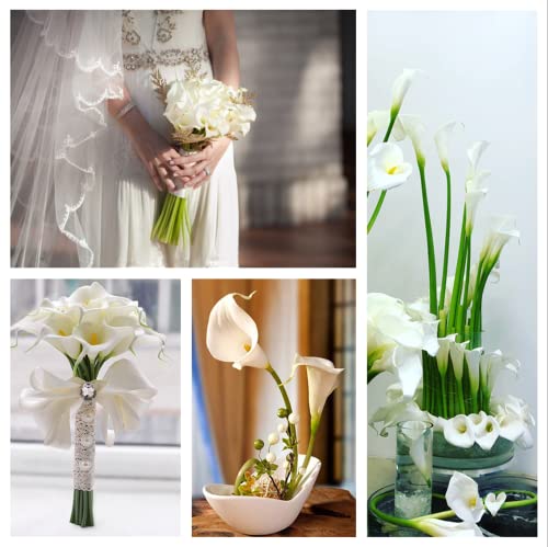 Crafjie 22pcs 13.4 Inch White Lataex Real Touch Artificial Calla Lily Flowers, for Home Decor for Spring Flowers, Home Kitchen, Wedding Decorations, and centerpieces. - color: White