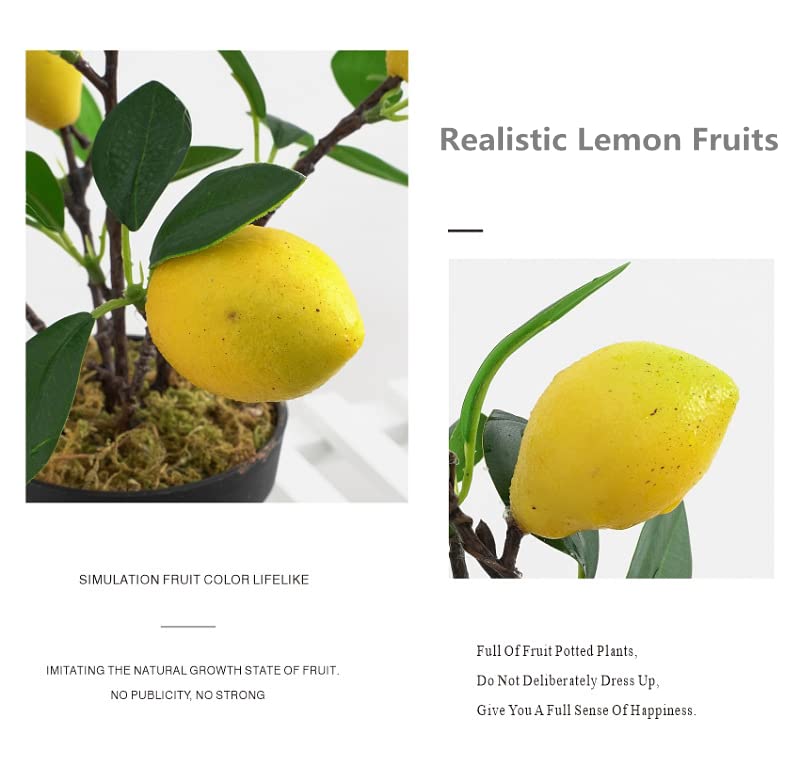 QTMY 2 Pack Artificial Mini Lemon Tree Potted Plants, Nearly Natural Fake Plant Lemon Decor for Kitchen, Indoor, Living Room, Bedroom