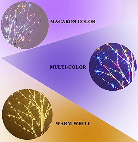 Hairui Lighted Branches 150L 8 Functions Warm White and Multicolor Fairy Lights 30IN for Room Easter Christmas Holiday Decoration - style: White Birch+ Multicolor 1set