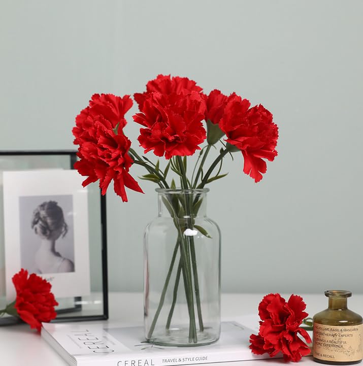 Rikyo 11 Inch Bouquets 10 Stem Red Carnations,Outdoor UV Resistant No Fade Artificial Flower,Mini Carnation Silk Petals Fake Flowers Forever Plants for Photo Props Home Party and Wedding Decor - color: Red-10