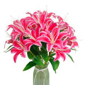 Artificial Lilies Flowers,10Pcs Faux Lily Flower,20''Tiger Lily Branch with 2 Full Blooms , Faux Fake Lilies Plants for Wedding Bouquet Home Party Indoor Floral Arrangements (10, deep pink) - color: Deep Pink