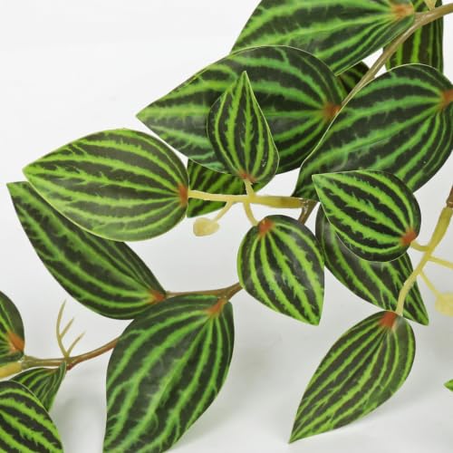 Briful Artificial Potted Plant Indoor, 19.6" Faux Watermelon Peperomia Trailing Plant in Black Pot, Realistic Fake Plants with Cascading Green Leaves for Shelf Bathroom Office Desk Kitchen Home Decor - color: Green Black Pot