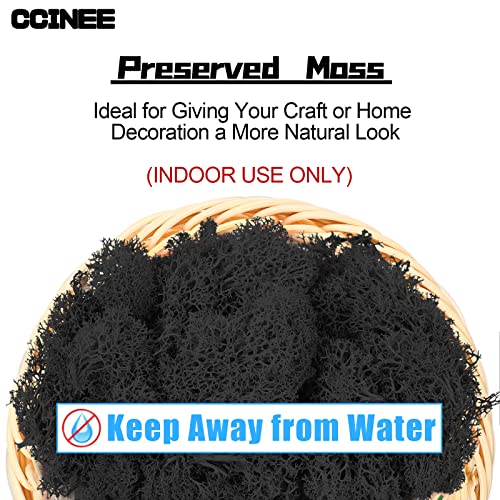 CCINEE Moss Preserved, 4 OZ Fake Reindeer Moss for Potted Plants for Craft Arts Floral Wall Decor Wedding Centerpieces Fairy Garden Artificial Terrariums Decoration for Christmas(Black) - color: Black