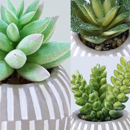 Winlyn Set of 3 Artificial Succulents Plants in Mini Gray and White Geometric Cement Pots Faux Potted Plants Aloe Pachyphytum Succulent Donkey Tail Small Plant for Home Office Table Shelf - color: Gray Pots