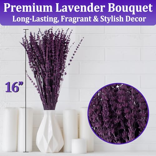 350 Stems 2 Bundles Dried Purple Lavender Flowers, 4.23oz(120g) Preserved Flowers Bouquet, 16'' Purple Lavender Stems for Wedding Home Fragrance Vase Crafts Decor - color: Purple