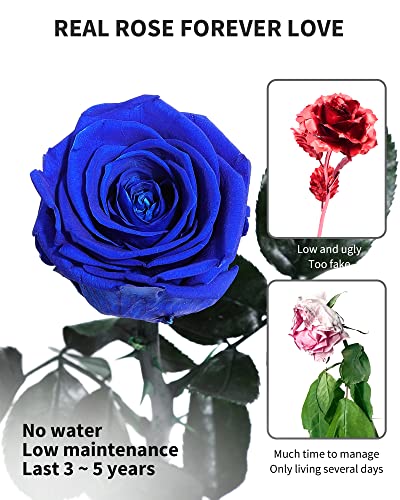 Blue Flowers for Delivery Prime, Preserved Blue Roses Flower Gifts for Women, Real Roses Single Rose Gifts for Her, Mom Birthday Gifts from Daughter, Valentines Flowers - color: 05-blue