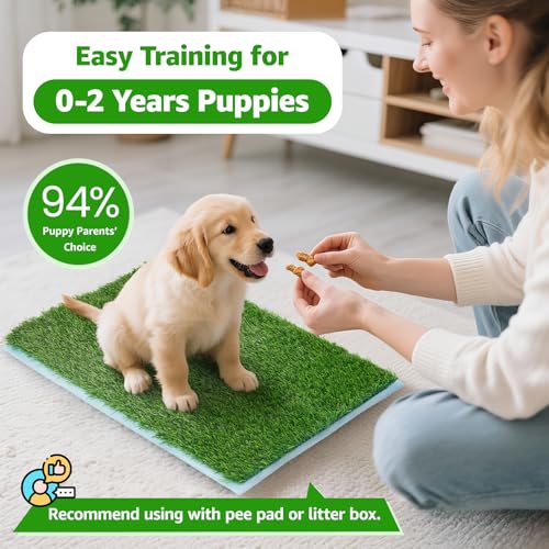Artificial Pee Grass Pad for Dogs, Fake Grass Replacement Pads for Dog Potty Tray Training Pet Turf, Indoor and Outdoor Mat - 2 Packs (18" x 23") - size: 18" x 23"