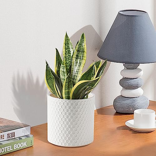 Docrin Ceramic Planters Indoor, 8 Inch Plant Pot with Drainage Holes for Home/Office - White Honeycomb - color: White - 1pcs