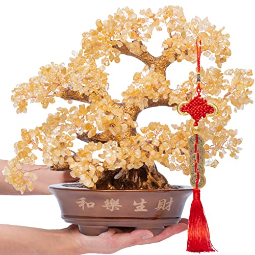 Natural Large Citrine Tree,14"Feng Shui Money Tree(1251 Gemstone Count)Citrine Crystal Tree for Abundance Prosperity Success Fortune Decoration Tree Bonsai for Home & Office Good Luck Wealth - color: Citrine