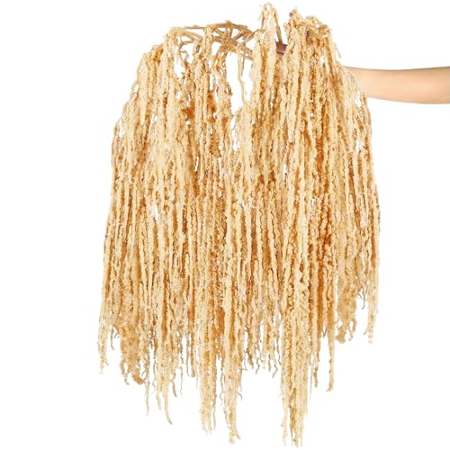 Suncalla 12 Pcs Champagne Spring Natural Dried Amaranthus Hanging Flowers Amaranthus Artificial Flowers for Wedding Arch Bouquet Floral Garland Wall Home Decoration (23 Inch) - color: Champagne