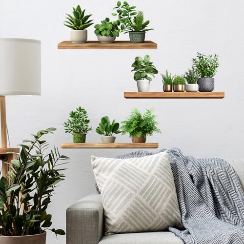 Green Plants Potted Wall Decals Vinyl Spring Summer Green Plants Leaves Wall Stickers Peel and Stick Removable Wall Decor for Bedroom Living Room Bathroom Classroom Decorations - style: Green Plants Potted