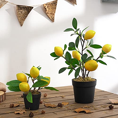 QTMY 2 Pack Artificial Mini Lemon Tree Potted Plants, Nearly Natural Fake Plant Lemon Decor for Kitchen, Indoor, Living Room, Bedroom