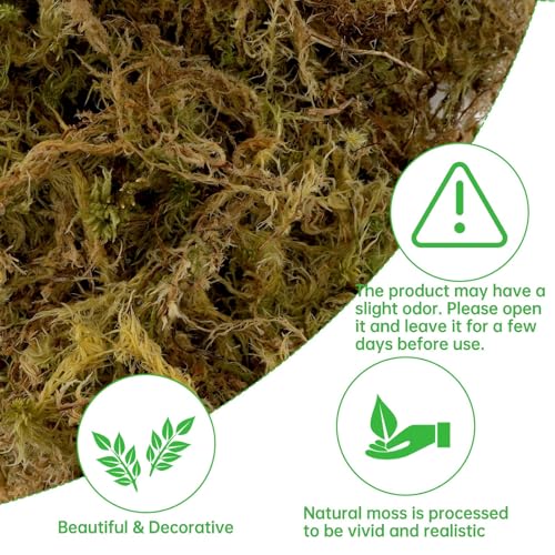 YUNVI 17.6 OZ Large Capacity Artificial Moss for Potted Plants,Natural Fake Moss Grass for Plants Indoor,Craft and Greenery Bulk for Hamsters(Fresh Green)