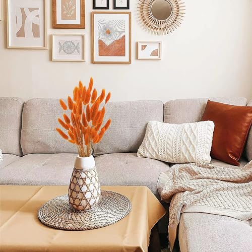 Dried Bunny Tails Flowers Lagurus Ovatus Orange Pampas Grass Natural Dried Floral Arrangement Dry Flowers for Halloween Christmas Boho Decor Home Wedding DIY Craft Decoration - color: Orange