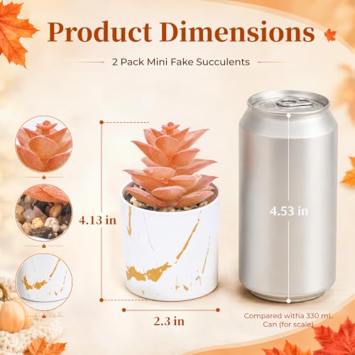 Der Rose Set of 2 Fall Artificial Succulent Plants, Mini Fake Succulents, Fall Decorations for Office Desk Bathroom Shelf Bedroom, Thanksgiving Decor - color: 2-orange
