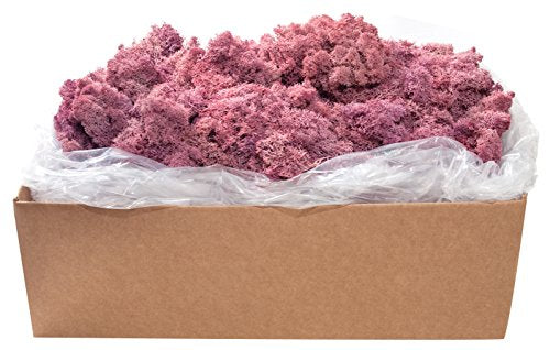 SuperMoss (21791) Reindeer Moss – Soft Preserved Moss for Home Decor, Crafts, Terrariums, Floral Design, and Wedding Decorations, 2,588 cu in, Dusty Rose - color: Dusty Rose, size: Appx. 10 lb Bulk Case