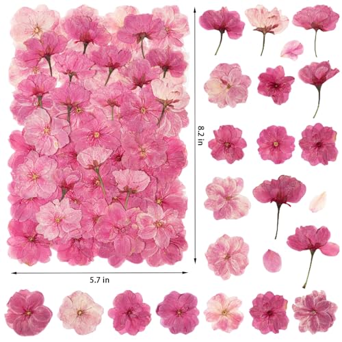 101 PCS Pressed Cherry Blossom for Crafts, Pink Dried Pressed Flowers for Resin DIY Jewelry Making Cake Card Scrapbook Decor, Dried Sakura Flowers for Soap Candle Making - size: Cherry