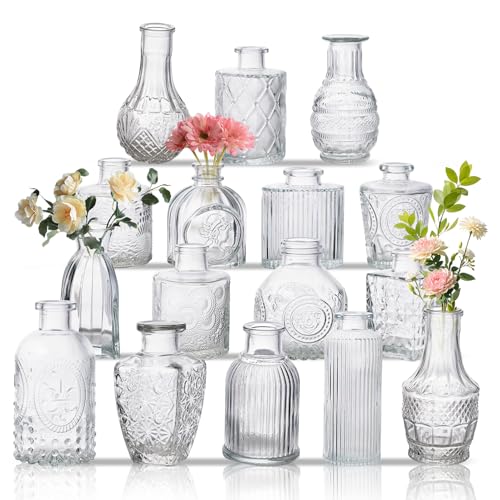 Glass Bud Vase Set of 16, Small Flower Vases, Glass Vases for Centerpieces, Vintage Home Table Decorations Bud Vases (16 Pcs, Clear) - color: Clear, size: 16 Pcs
