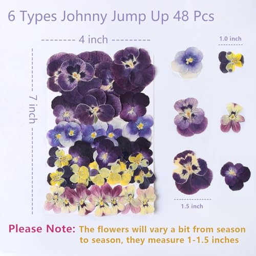48 Pcs Mix Natural Dried Pressed Flowers for Cake Decorating, Real Dry Flower for Resin Jewelry Making, DIY Art Crafts - Johnny Jump Up - color: Johnny Jump Up