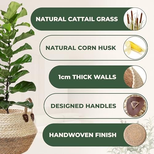 Pot for Artificial Tree Indoor, Vase for Olive Tree Indoor, Fake Plant Pot, Planter for Faux Plant (10" D x 12" H, Woven Plant Basket, Large)