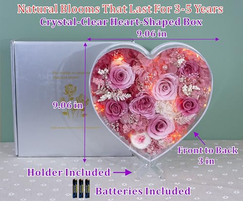 Valley of Rain & Forest Long-Lasting Real Flowers, "Sweet" Preserved Floral Gift With Lights For you to send Love for All Occasions, for Indoor Decoration (Pink & White Roses Arrangement) - color: Pink & White Roses Arrangement