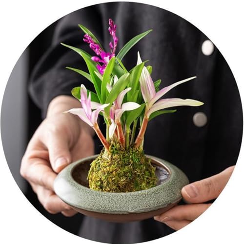 Ikebana Vase Kit Ceramic Flower Frog Vase with Stainless Kenzan Japanese Ikebana Flower Arrangement Pot for Floral Displays Moss & Hydroponic Plants Zen Decor Gift (Green Small Size) - color: Green Small Size
