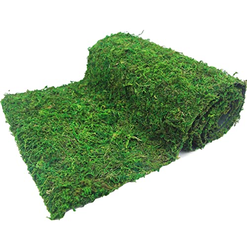 FAICOIA Floral Moss Rug Roll Dried Moss Sheets for Crafts Table Runner Fairy Gardens Wedding Woodland Decor 12" x 71" Preserved Green Moss Mat for Table Forest Decor Carpet Grass Wall 30x180cm - color: Natural Moss Green