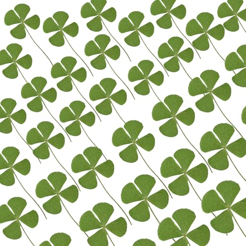 48 Pcs Mix Natural Dried Pressed 4 Leaf Clover for St Patricks Day Cake Decorating, Real Dry Flower for Lucky Jewelry Making (Four Leaf Clover) - color: Four Leaf Clover