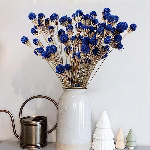 40 Pcs Natural Blue Dried Thistle Flowers Bouquet, Bulk Dried Craspedia Billy Balls Button Plant, 17'' DIY Floral Arrangements for Home Boho Kitchen Table Wedding Vase Decor