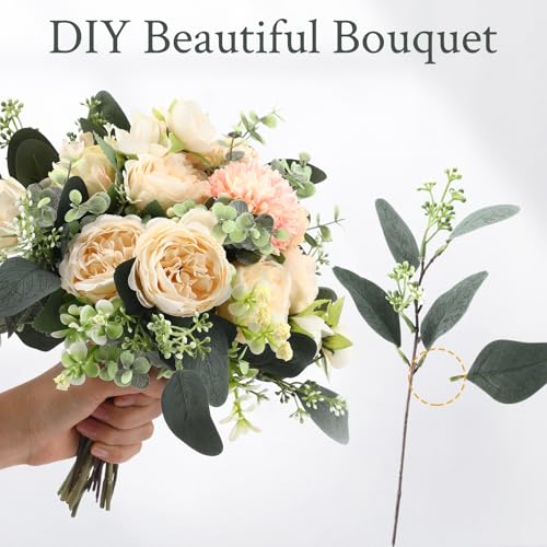 Janinka Mixed Eucalyptus Leaves Stems Bulk with White Seeds Artificial Silver Dollar Leaves Sprays Faux Oval for Wreath Garland Floral Bouquets Arrangement Wedding Greenery Decoration (20 Pcs)