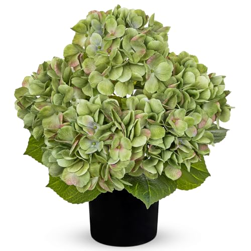 Hollyone Green Hydrangea Artificial Flowers in Pots 15.7" Five-Head Faux Silk Hydranges Flower Arrangements for Indoor Home Office Kitchen Table Centerpieces Wedding Decorations - color: Green, size: 5 Head Hydrangea
