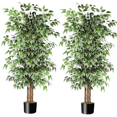 GTIDEA 2 Pcs 6ft Ficus Artificial Trees, Tall Faux Trees Indoor with Natural Trunk and Fake Silk Tree Fake Plants for Home Spring Decor Living Room Outdoor Balcony House Office (Included Dried Moss) - color: 6ft Ficus Tree-2pack (No Vase)