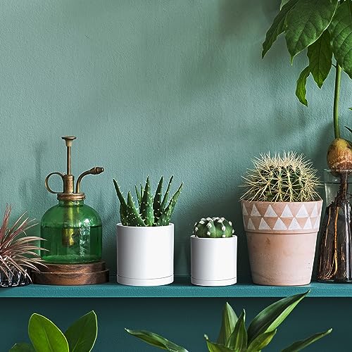 D'vine Dev 12 Pack 3.5 Inch Mini Plastic Plant Pots, Small Garden Planters for Plant with Drainage Holes and Saucers, White Color, 74-Z-D-4 - size: 3.5"