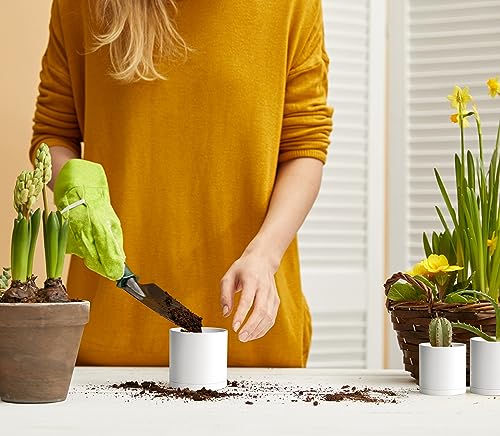 D'vine Dev 12 Pack 3 Inch Mini Plastic Plant Pots, Small Garden Planters for Plant with Drainage Holes and Saucers, White Color, 74-Z-C-4 - size: 3"
