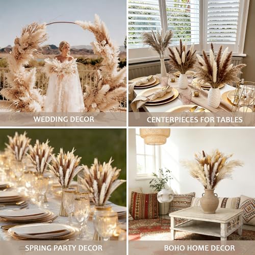 480 Stems Dried Pampas Grass Decor-Bulk Pampas Grass,Bunny Tail,Reed,Fluffy Pompas Grass.Boho Flower Bouquets for Wedding,Spring,Table Vase,Farmhouse Decor,Living Room,Beach,Apartment and Boho Decor - size: 480 Pcs