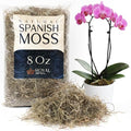 Royal Imports Preserved Natural Spanish Moss, Fresh Dried Shredded Loose Chunks, 8 Oz Bag - size: 8 Oz Bag