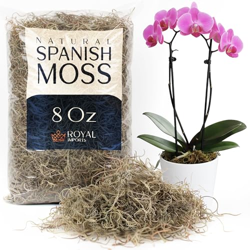 Royal Imports Preserved Natural Spanish Moss, Fresh Dried Shredded Loose Chunks, 8 Oz Bag - size: 8 Oz Bag