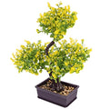 EXCEART Faux Bonsai Plastic Plant Yellow Artificial Desktop Decor - color: Yellow
