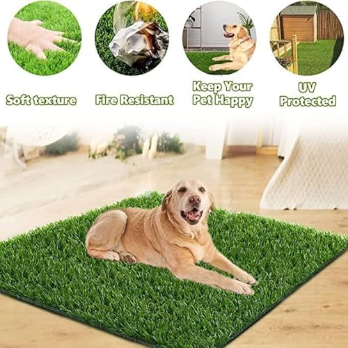 Dog Grass Pad,51.2x31.5In Fake Grass for Dogs,Artificial Grass Pee Pad for Puppies Potty Training Indoor Outdoor - size: 51.2x31.5 Inch (Pack of 1)