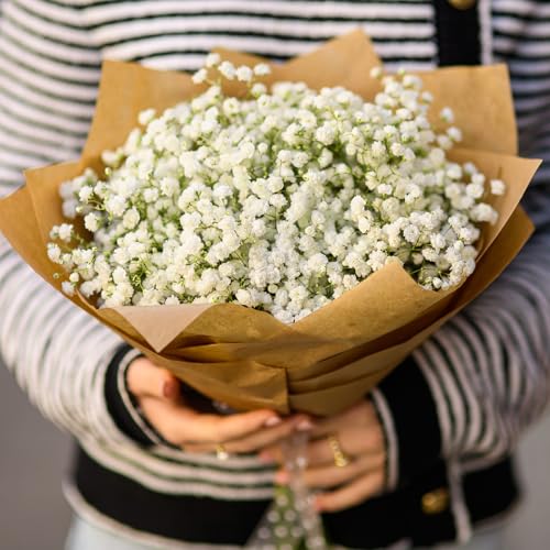 150 Pcs Baby Breath Artificial Flowers Fake White Baby Breath Flower Artificial Bulk Real Touch Faux Gypsophila Bouquet for Wedding Floral Arrangement Centerpieces Table Decoration (White, 150 PCS) - size: 150 PCS