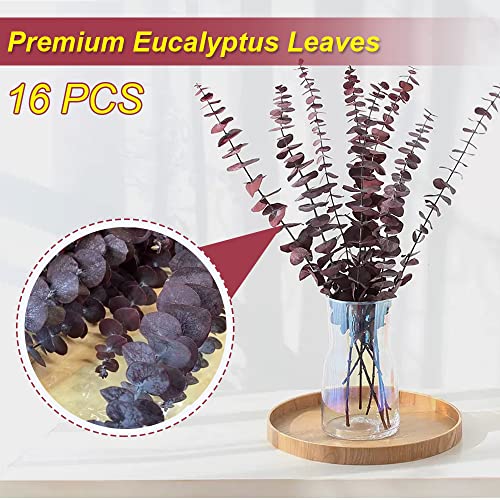 16 Pcs Dried Fall Eucalyptus Stems Red, Christmas Burgundy Dried Flowers for Vase, Home Decor, Real Eucalyptus Orange Brown, Eucalyptus Plant, 17" Fall Floral Stems Decorations Arrangement