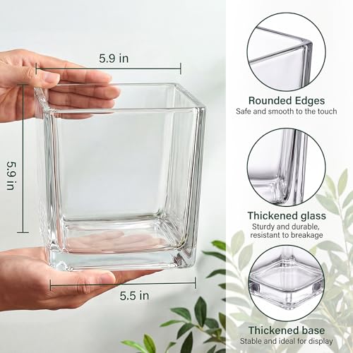 4 Pack Square Glass Vase 6" x 6" x 6", Clear Flower Vase for Centerpieces,Plant Terrarium, Floating Candle Holder for Wedding Centerpieces, Office Decorations, Home Décor, Parties and Events - size: 6"-4Pack