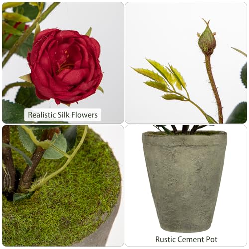 Hollyone Artificial Flower Plants Camellia Red Roses Faux Potted Plant with Cement Pot Fake Silk Flower Rose Camellias Flower Arrangement Office Home Decor Bathroom Shelf Desk Decoration 15 Inch - color: Red