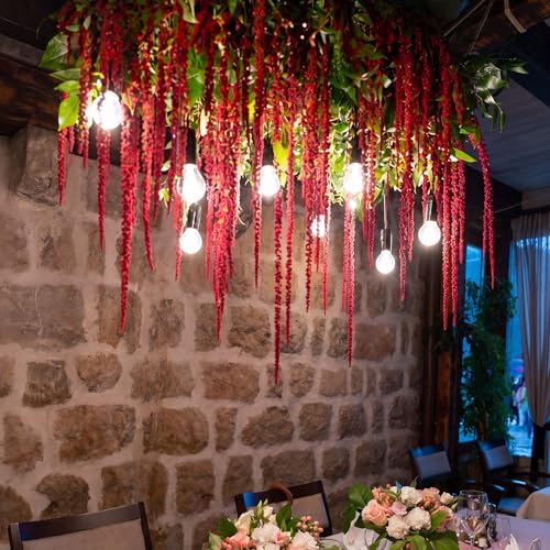Suncalla Bright Red Spring Natural Dried Amaranthus Hanging Flowers Amaranthus Artificial Flowers for Wedding Arch Bouquet Floral Garland Wall Home Decoration (23 Inch,12 Pcs) - color: Bright Red